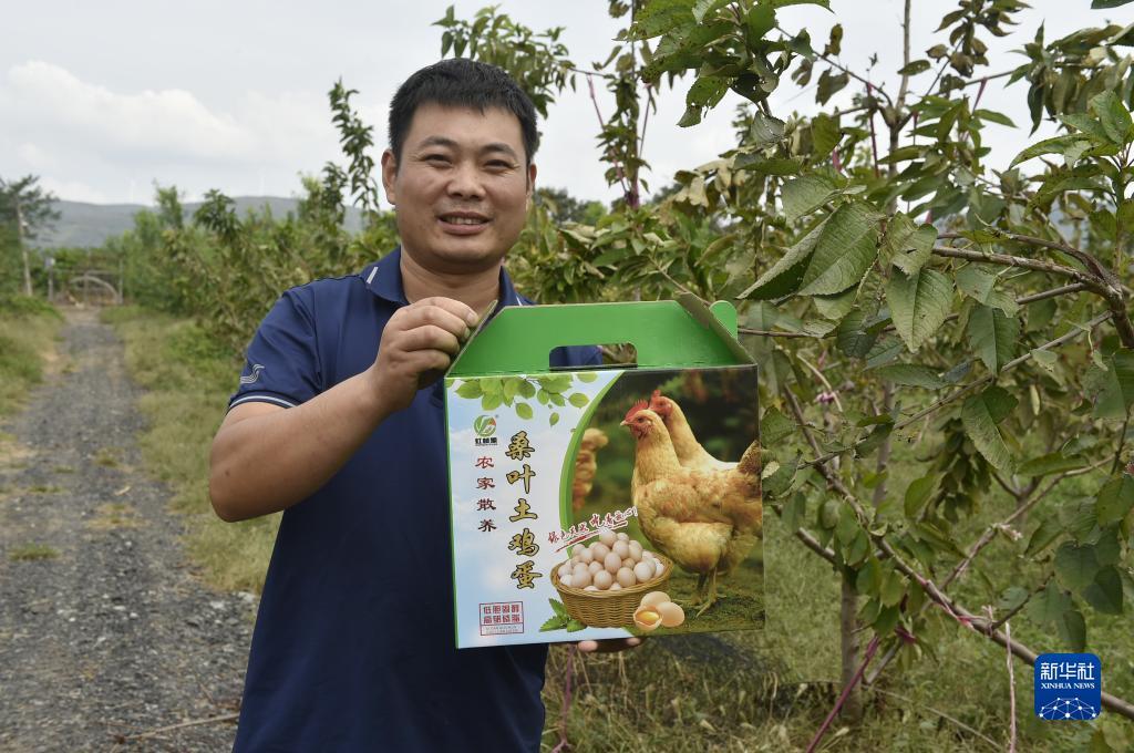 大奖网触屏版旧